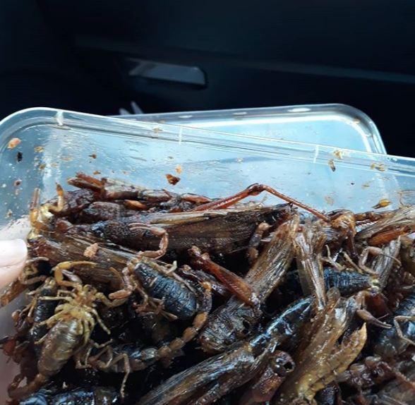 Ürəyi zəif olanlar baxmasın  - Aytən Səfərova